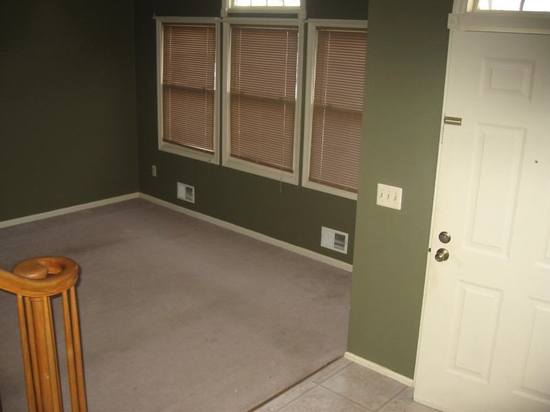 333 Carnegie Ct - Photo 3 of 13