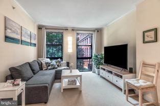 631 D St Nw Apt 337 #337 - Photo 1 of 1