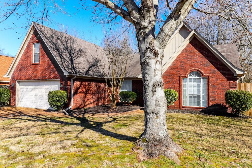 4708 Buckhead Cir - Photo 3 of 16