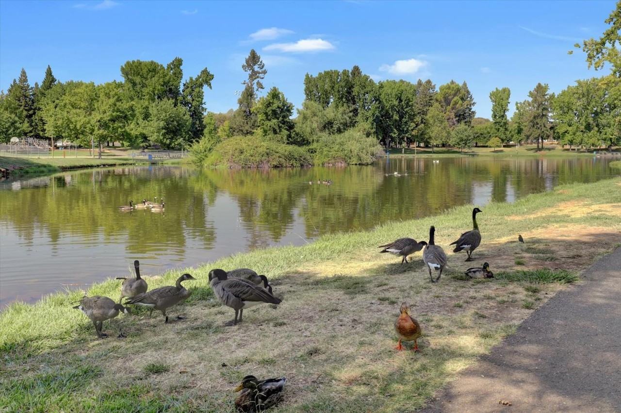 3593 Opal Dr #3593-4 - Photo 5 of 36