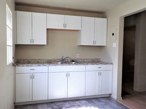 1125 Dallas Street - Photo 5 of 16