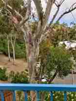 166 High Dr #166 - Photo 1 of 1