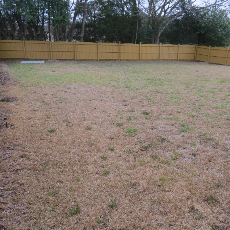 215 Peach Hill Dr - Photo 7 of 7