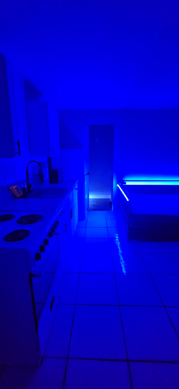 1448 W 31st St #REAR - Photo 7 of 7