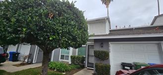 40148 Santa Teresa Cmn #40148 - Photo 1 of 1