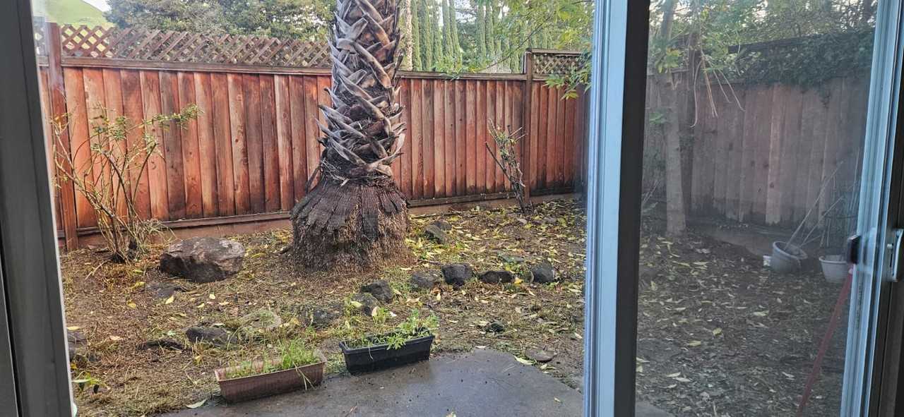 40148 Santa Teresa Cmn #40148 - Photo 7 of 7