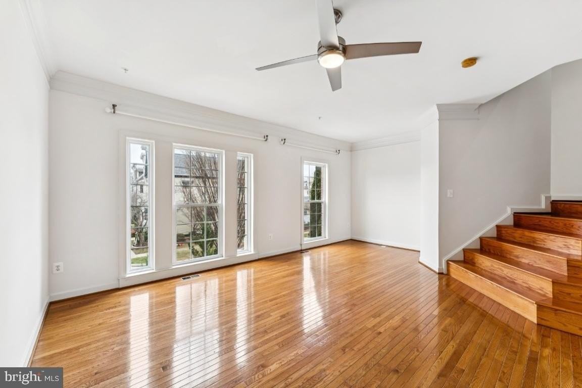 8915 Amelung St - Photo 6 of 25