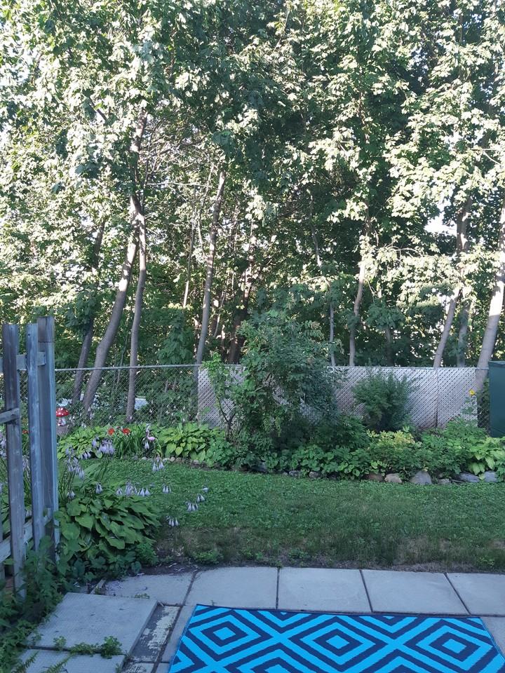 811 Connaught Avenue #47 - Photo 7 of 11