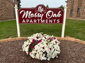 2989 Mossy Oak Circle - Photo 1 of 1