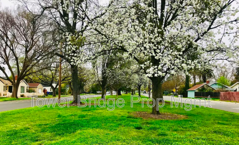 5250 21st Ave - Photo 2 of 5