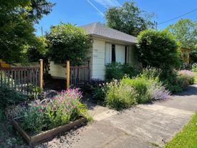 CURFN01 - Photo 1 of 1