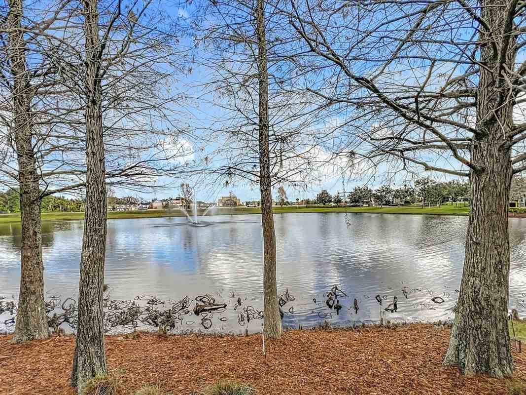 1017 Enclair St - Photo 4 of 41