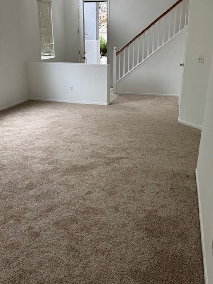 6540 Cowboy Way - Photo 3 of 13