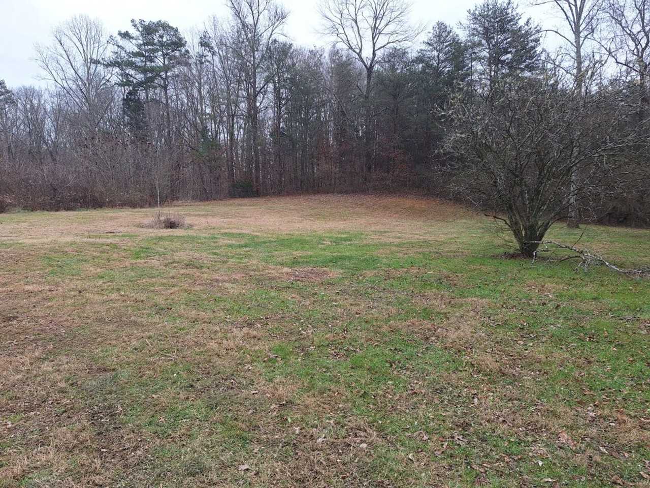 532 Pine Ridge Rd - Photo 3 of 47