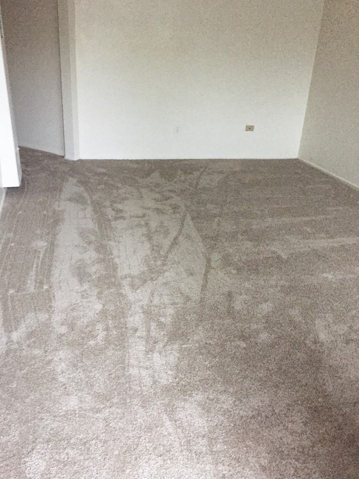 497 East Park Avenue - Photo 5 of 24