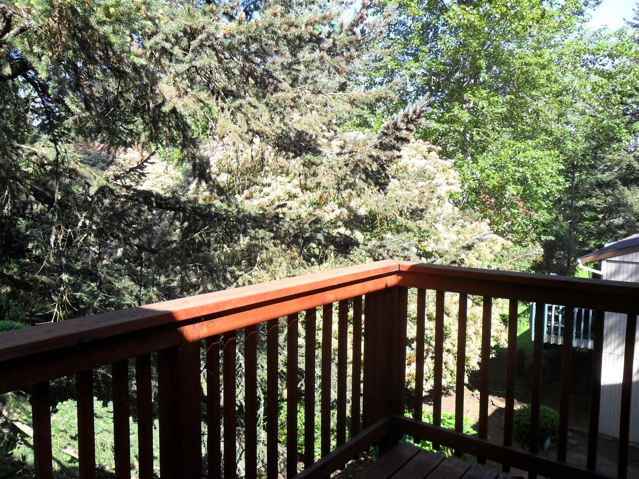 3307 Ratcliff Ln Se #3307 - Photo 7 of 12