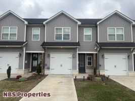 featured image of 4867 Ancient Glacier Ln #1
