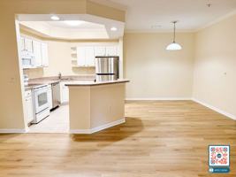 featured image of 380 Marshland Rd #E28