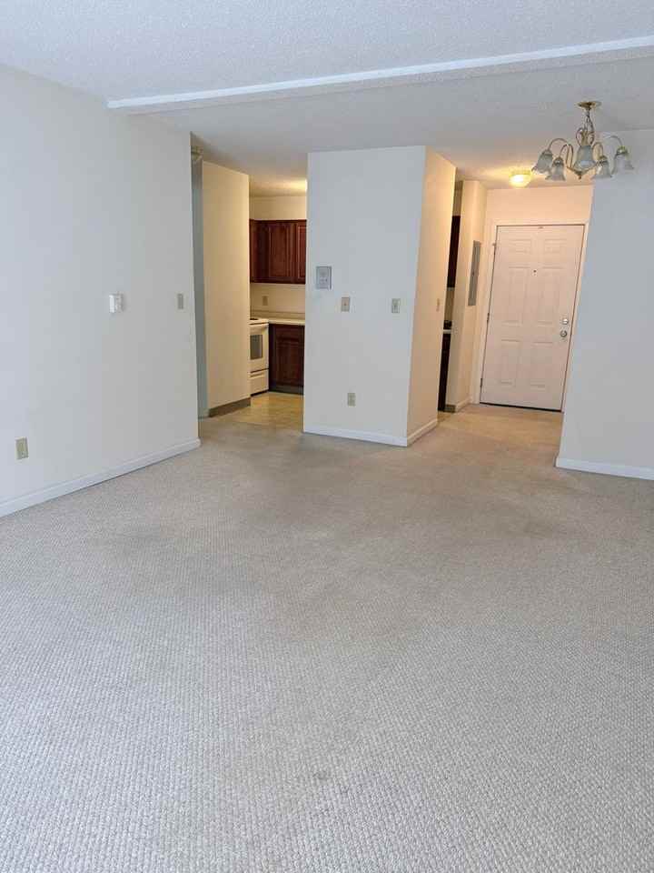 164 Barnstead Drive - Photo 3 of 23