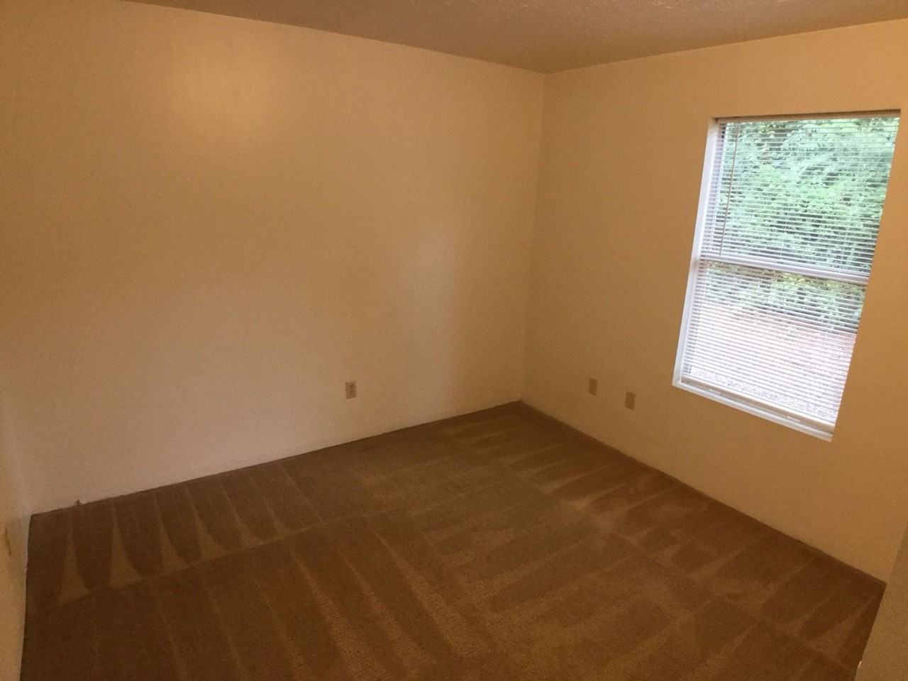 153 Clover Valley Cir - Photo 6 of 14