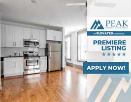 Revival - Photo 1 of 1