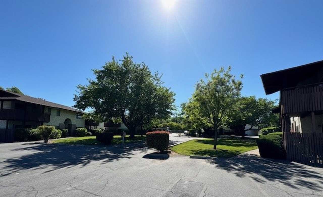 2 Bedroom 1 bath apartments available now! - Photo 5 of 11