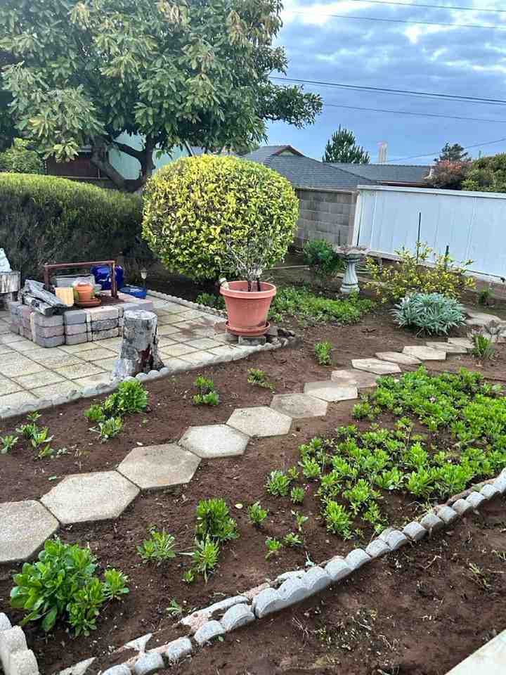 421 Fresno Ave - Photo 2 of 18