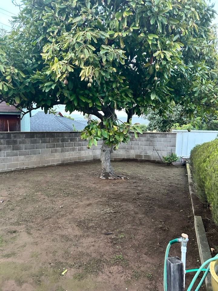 421 Fresno Ave - Photo 4 of 18