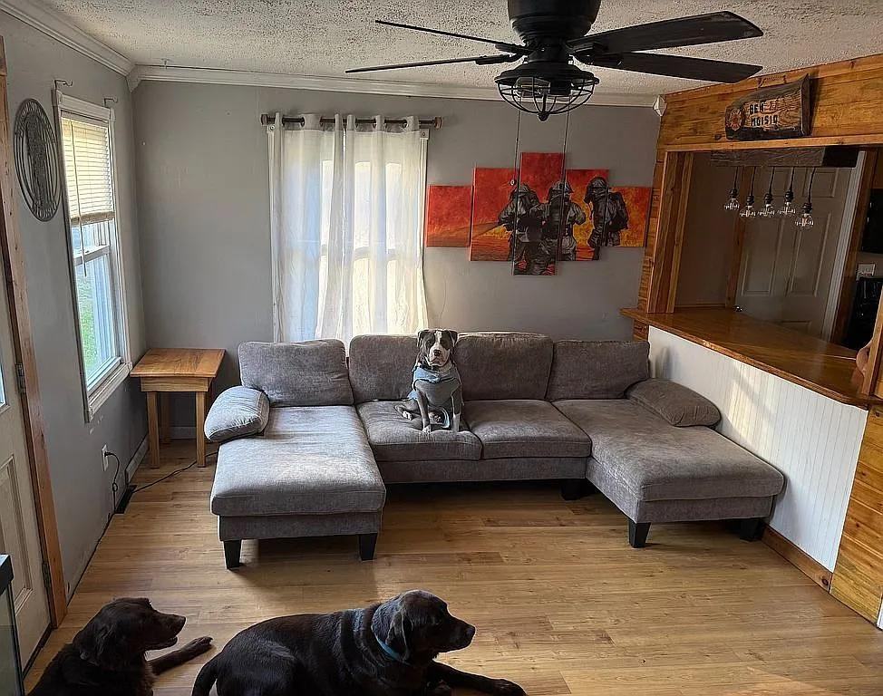 Collins Dr - Photo 6 of 6