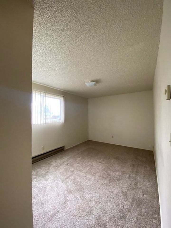 415 E Rose St - Photo 6 of 14