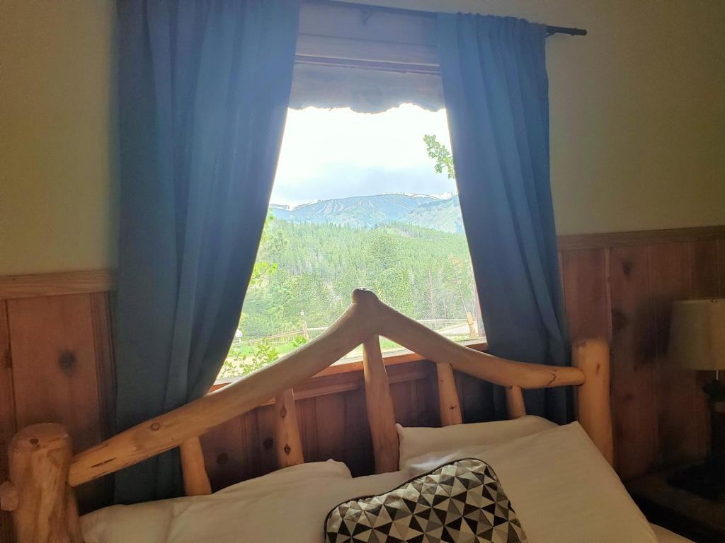 23942 Peak To Peak Hwy - Photo 2 of 21