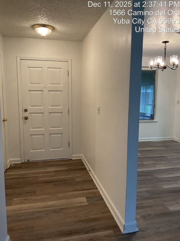 1566 Camino Del Oro - Photo 2 of 9