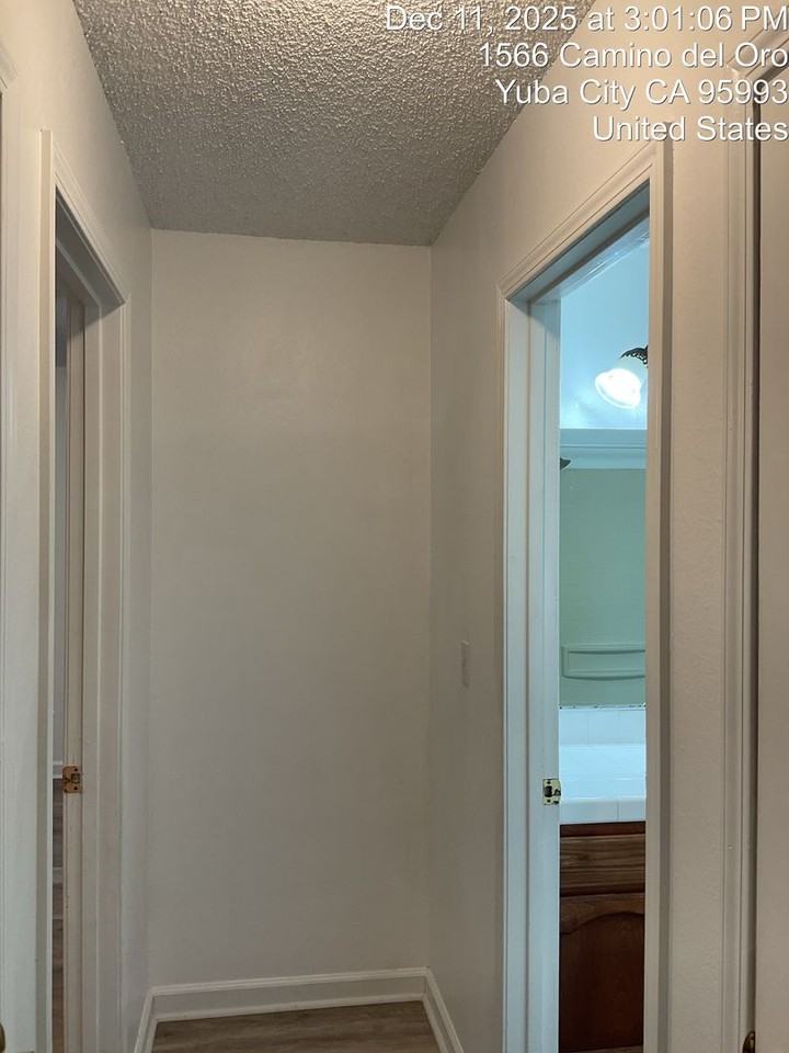 1566 Camino Del Oro - Photo 6 of 9