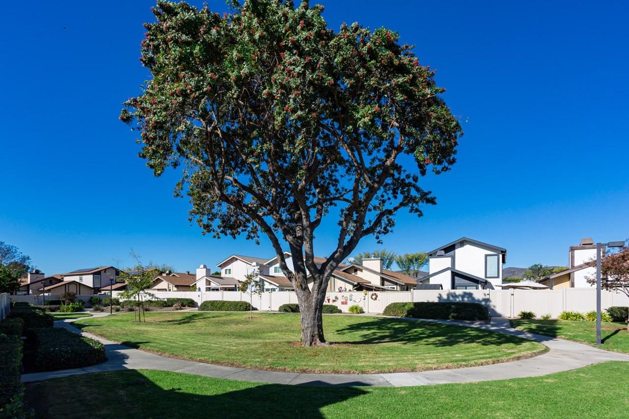 10379 Rochelle Ave - Photo 3 of 38