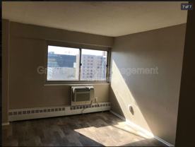 210117 Chestnut St #1616 - Photo 1 of 1