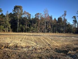 730 Sambo Lambert Rd - Photo 1 of 1