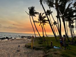 featured image of 293 Alaume St