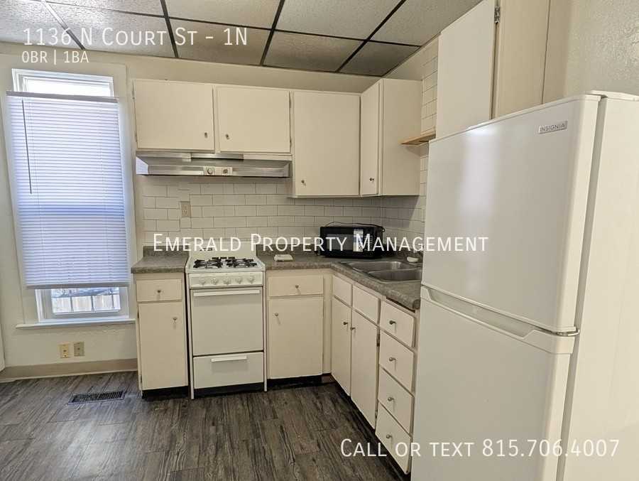 1136 N Court St #1N - Photo 3 of 4