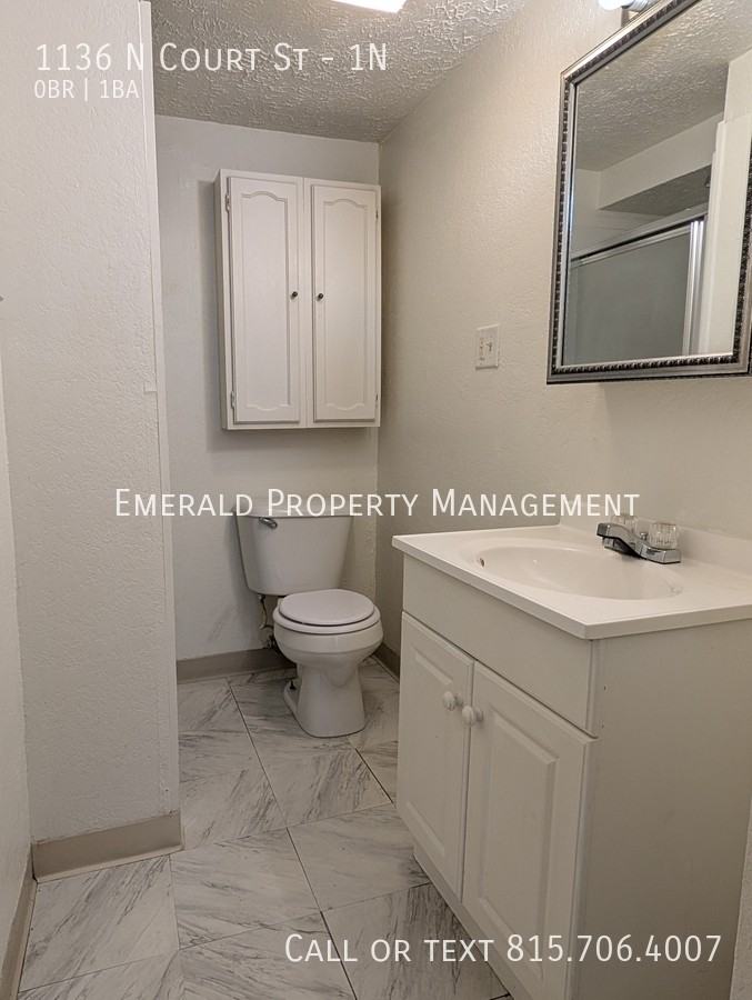 1136 N Court St #1N - Photo 4 of 4