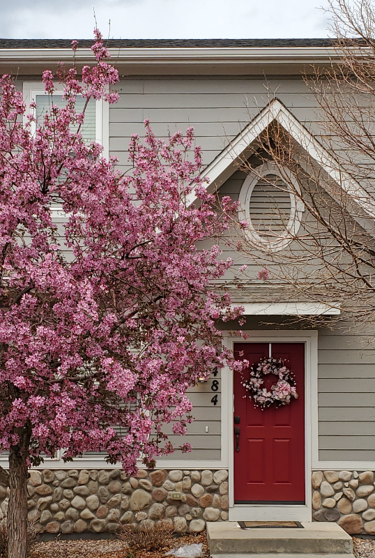 2484 St Paul Dr - Photo 2 of 20