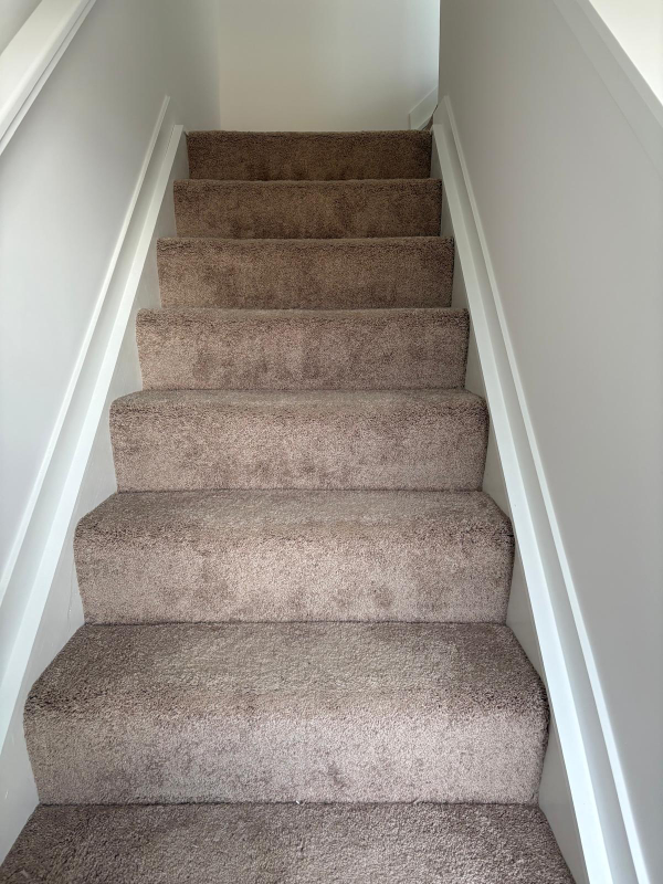 146 Dusky Willow Dr - Photo 4 of 20