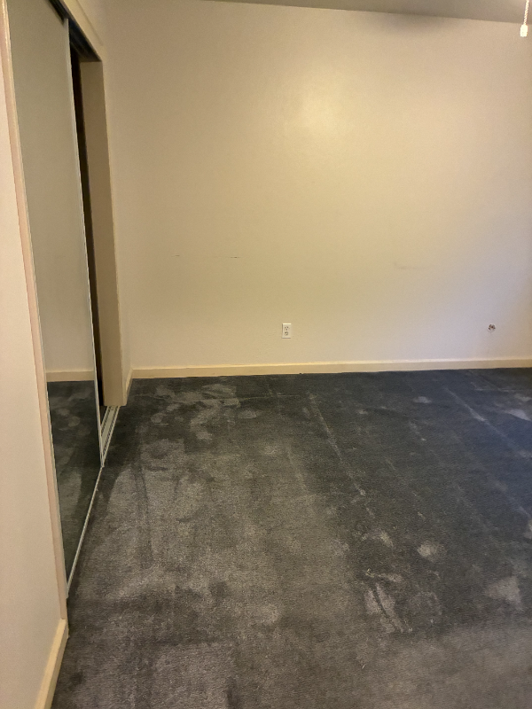 3300 Brookdale Ave #5 - Photo 4 of 6