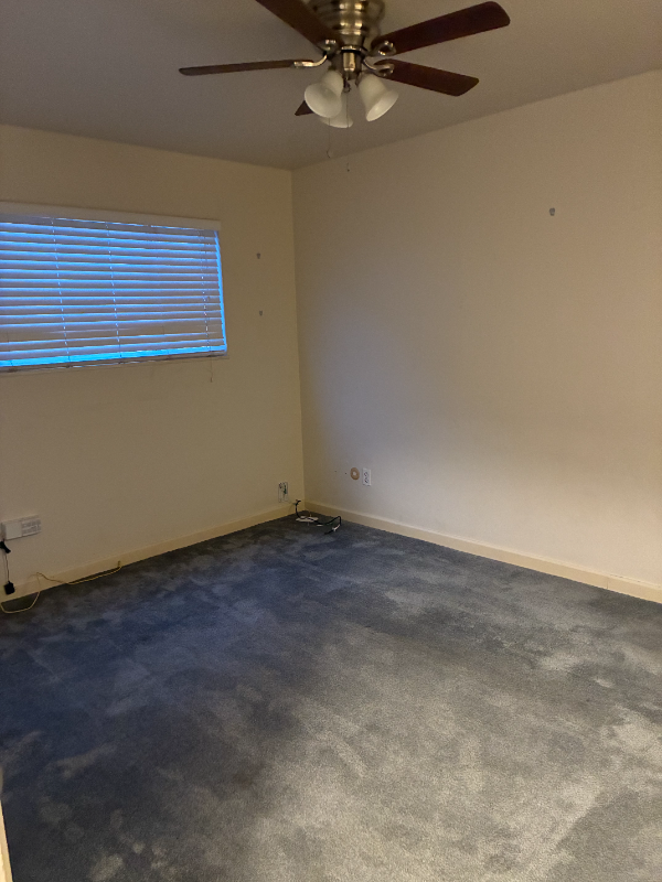 3300 Brookdale Ave #5 - Photo 5 of 6