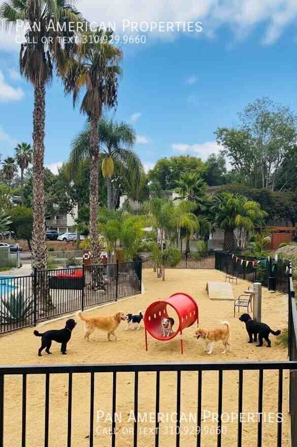 Serra 9hundred - Photo 7 of 26