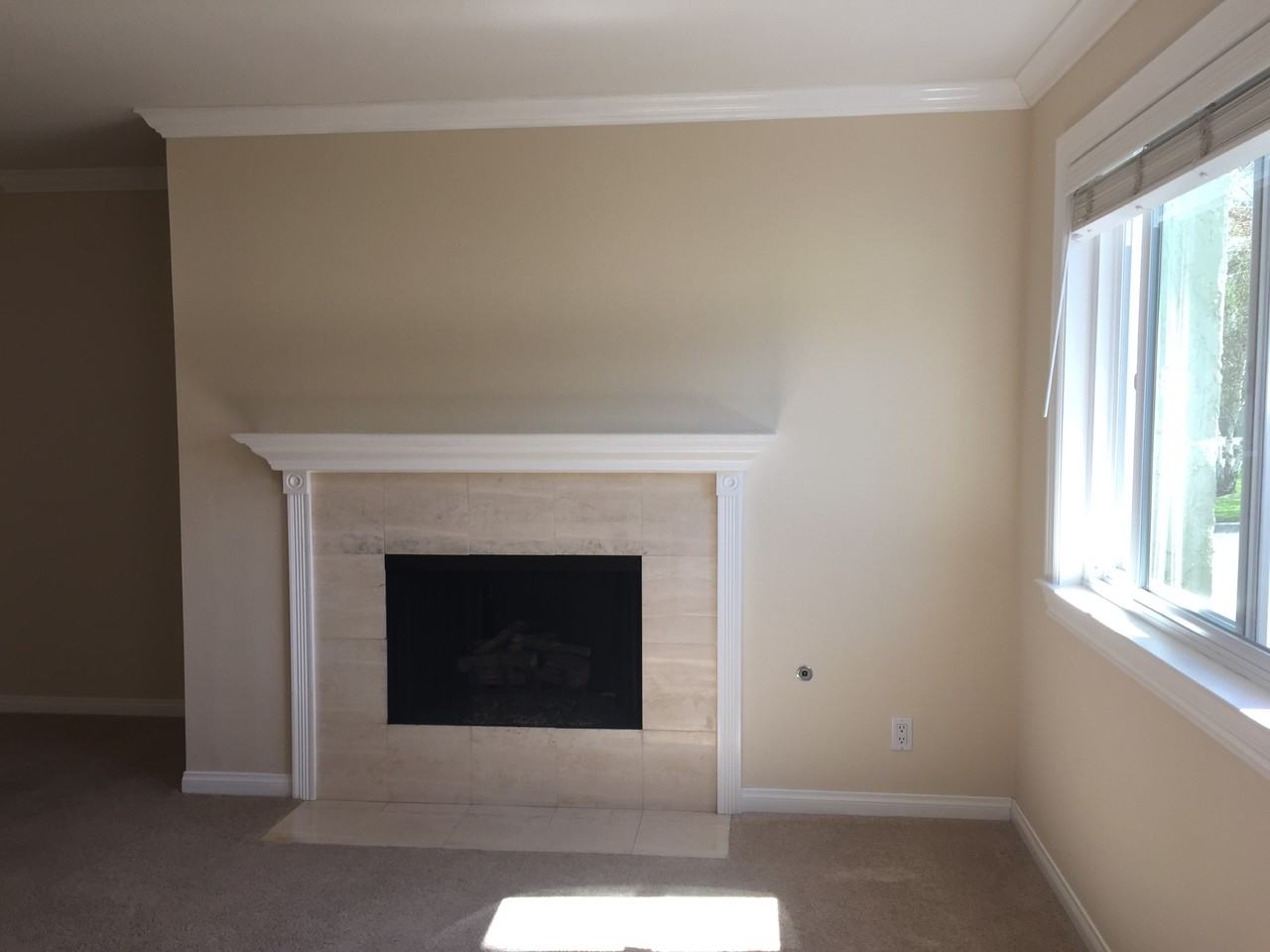 237 Green Lea Pl #237 - Photo 4 of 21