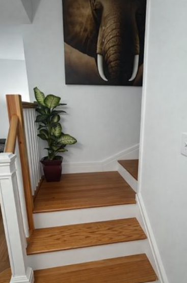 59 Morris St - Photo 6 of 16