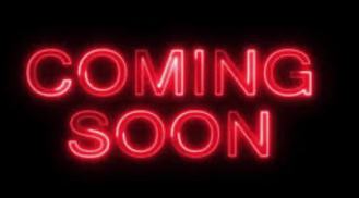 13809 Chagall Ct - Photo 1 of 1