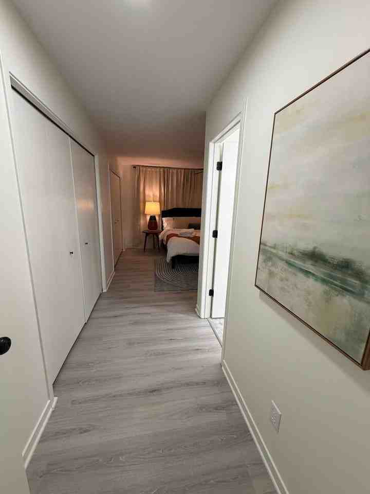 19533 Justin Morgan Dr - Photo 6 of 22