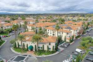 featured image of 250 Palm Valley Blvd