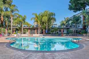 Regency at Mountain View - Photo 1 of 1